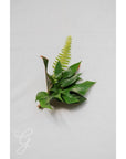 Green Monochrome A la Carte Corsage - Green Fresh Florals + Plants