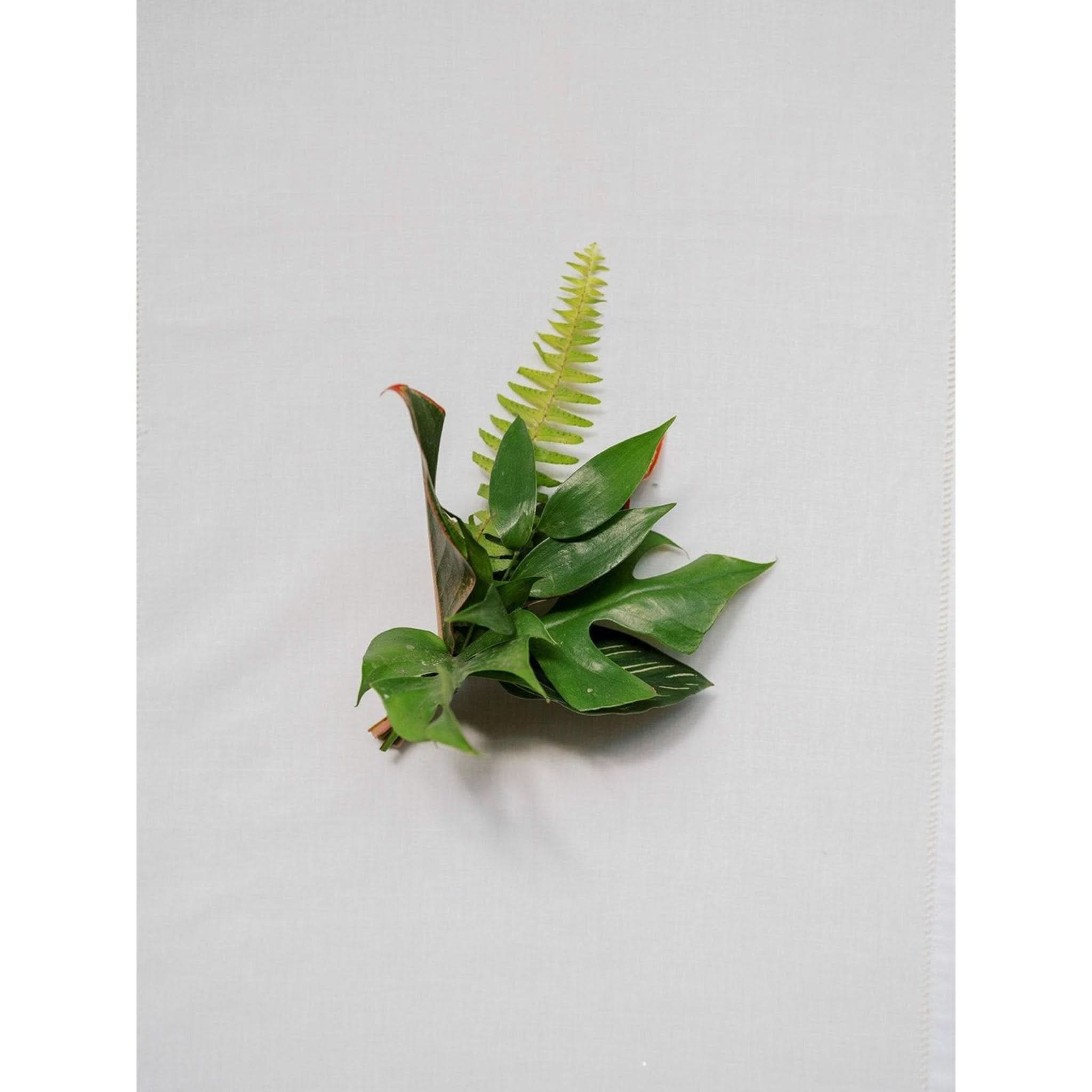 Green Monochrome A la Carte Corsage - Green Fresh Florals + Plants