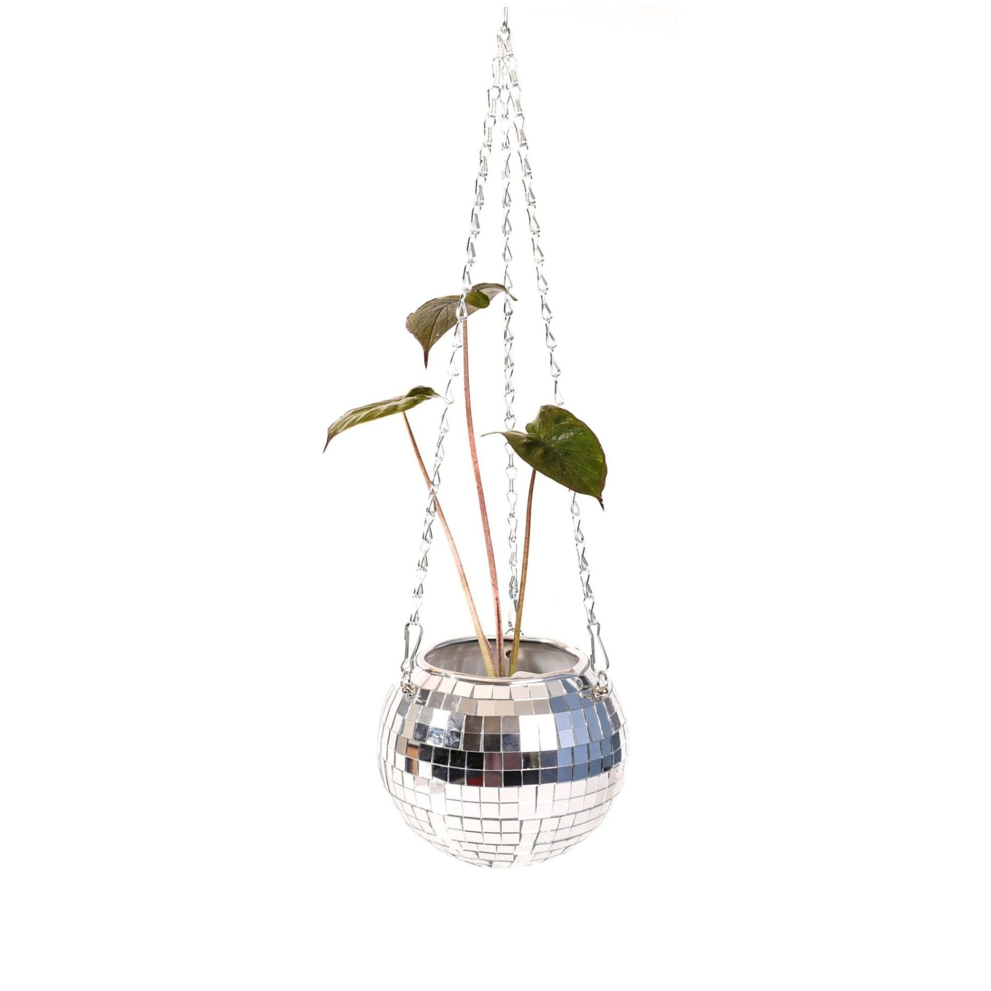 Hanging Disco Ball Planter - Green Fresh Florals + Plants