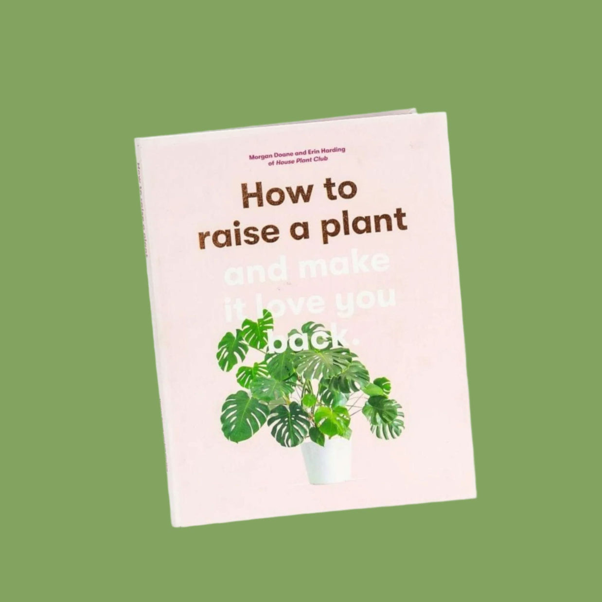 How to Raise a Plant and Make It Love You Back - Green Fresh Florals + Plants