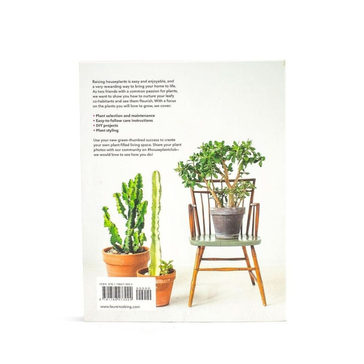 How to Raise a Plant and Make It Love You Back - Green Fresh Florals + Plants