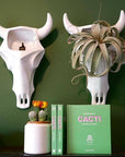 Little Book of Cacti and Other Succulents - Green Fresh Florals + Plants