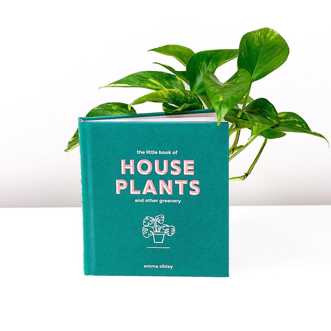 Little Book of Houseplants and Other Greenery - Green Fresh Florals + Plants