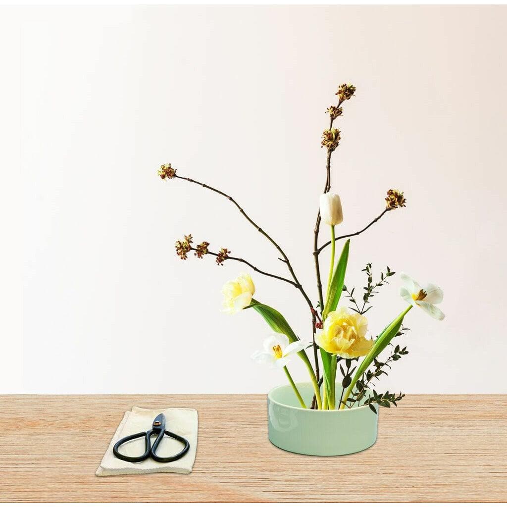 Mini Ikebana Kit Green Fresh Florals + Plants