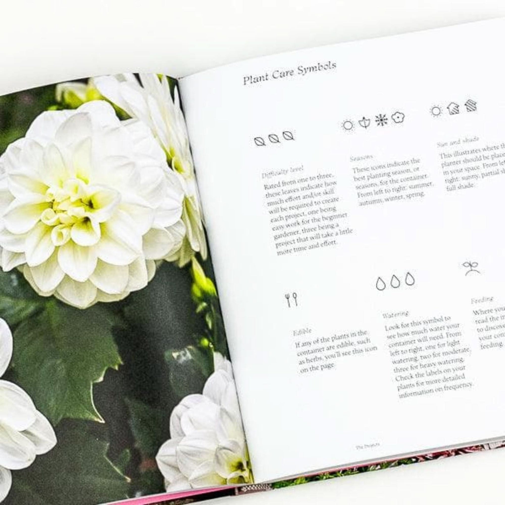 Modern Container Gardening Book - Green Fresh Florals + Plants