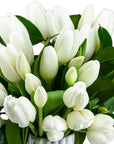 Modern Spring Tulips Floral - Green Fresh Florals + Plants