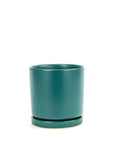 Momma Pots Jewel Tone Gemstone Cylinder - Green Fresh Florals + Plants