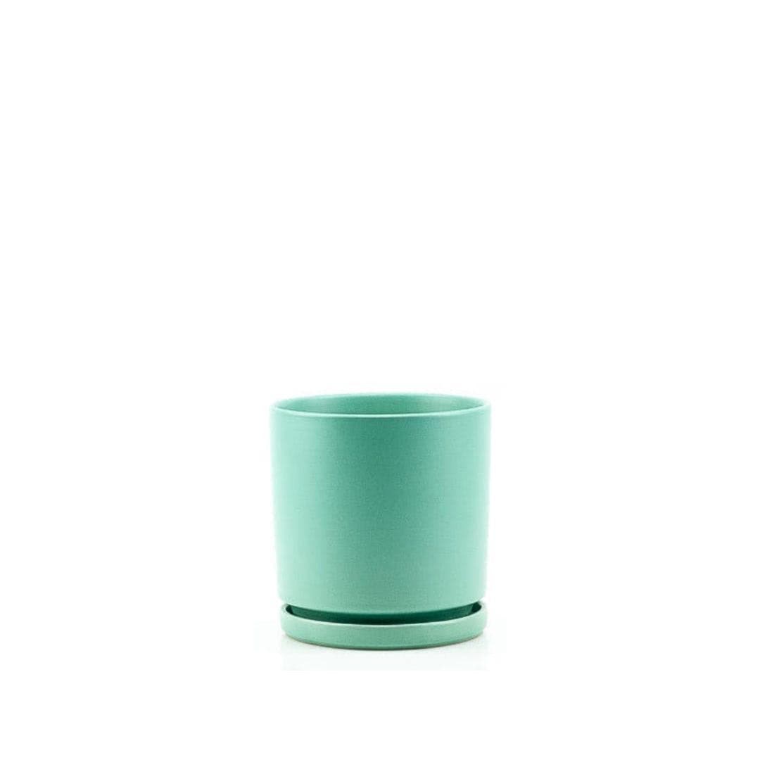 Momma Pots Jewel Tone Gemstone Cylinder - Green Fresh Florals + Plants