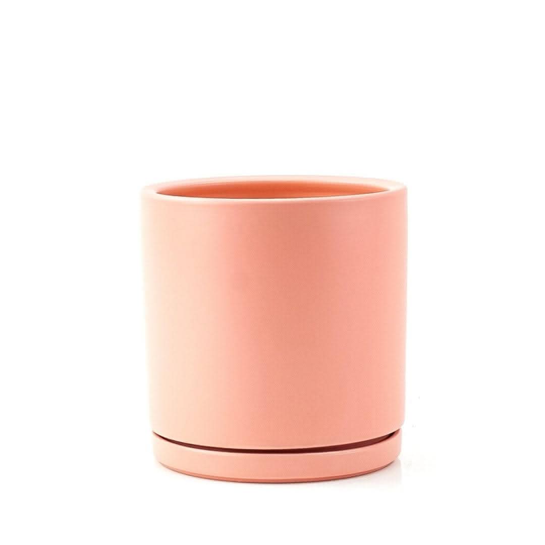 Momma Pots Pastel Gemstone Cylinder from Green Fresh Florals