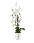 Orchid + Marble Planting - Green Fresh Florals + Plants