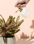 Plant Mister - Green Fresh Florals + Plants