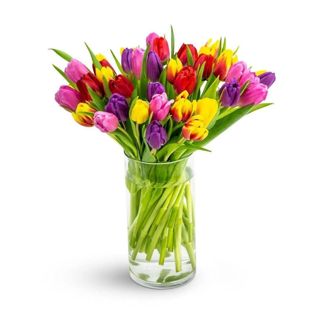 Rainbow Brite Tulips - Green Fresh Florals + Plants