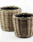 Rattan Basket - Green Fresh Florals + Plants