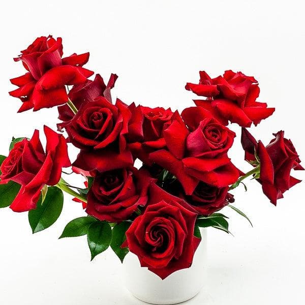 Red Rose Romance Floral - Green Fresh Florals + Plants