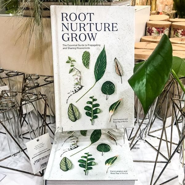 Root Nurture Grow- Essential Guide - Green Fresh Florals + Plants