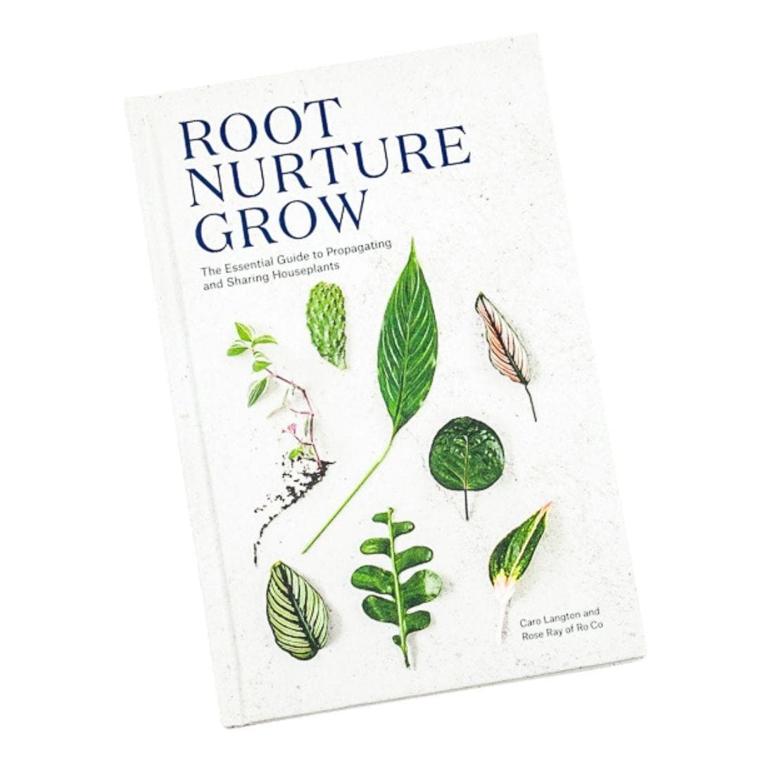 Root Nurture Grow- Essential Guide - Green Fresh Florals + Plants