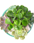 Seaglass Crystal Succulent Garden - Green Fresh Florals + Plants