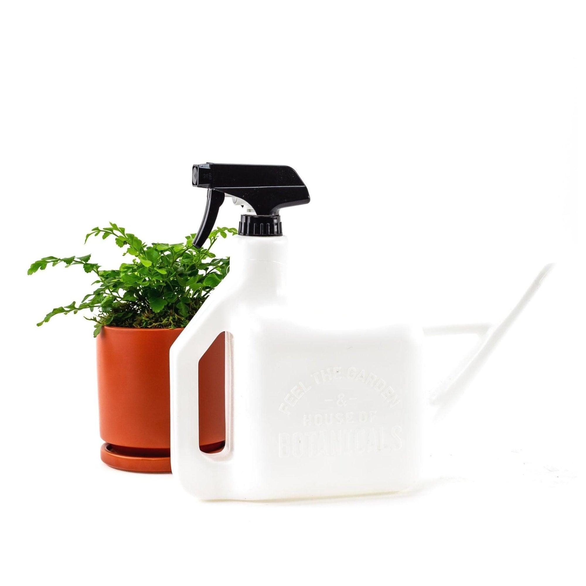 Spray Sprinkler Watering Jug - Green Fresh Florals + Plants