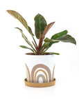 Symbol Pot - Green Fresh Florals + Plants