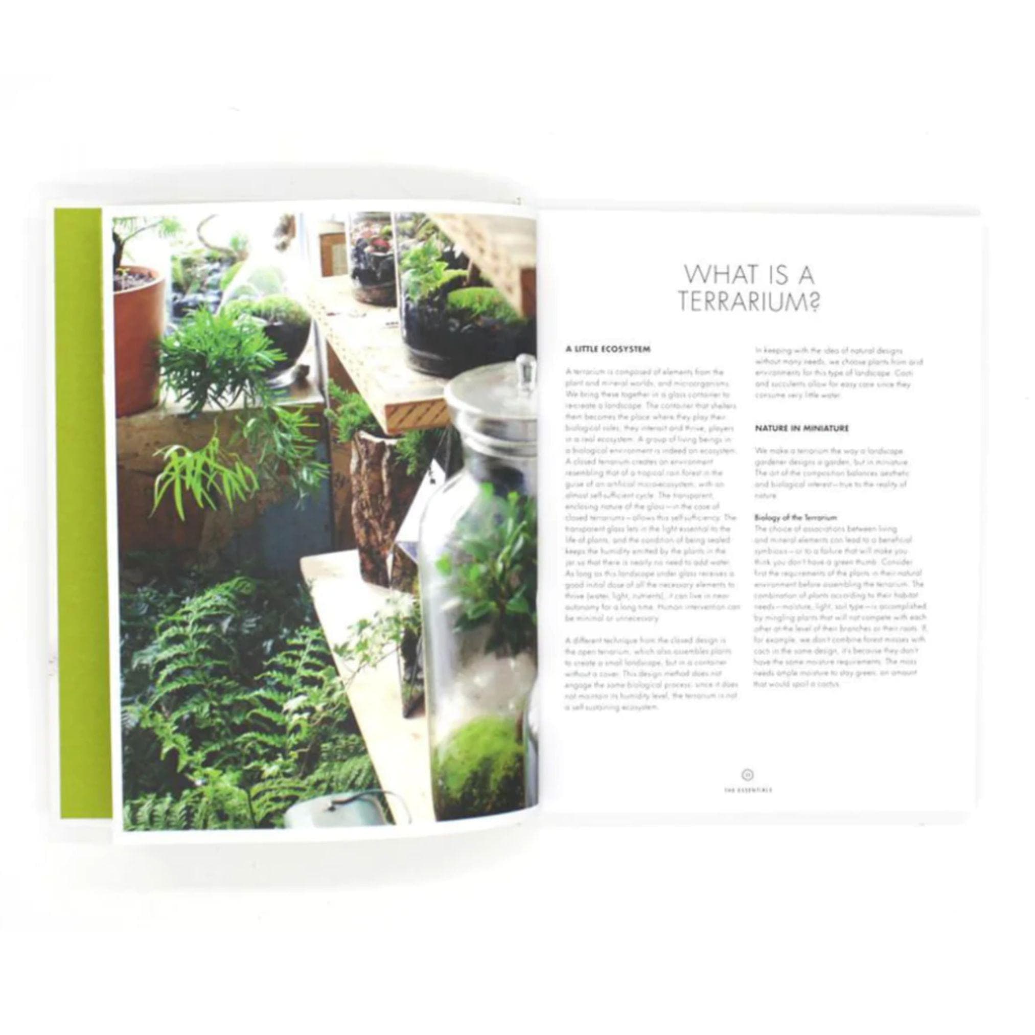 Terrarium: 33 Glass Gardens To Make Your Own - Green Fresh Florals + Plants