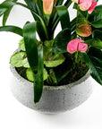 Terrazzo Tropical Planting - Green Fresh Florals + Plants