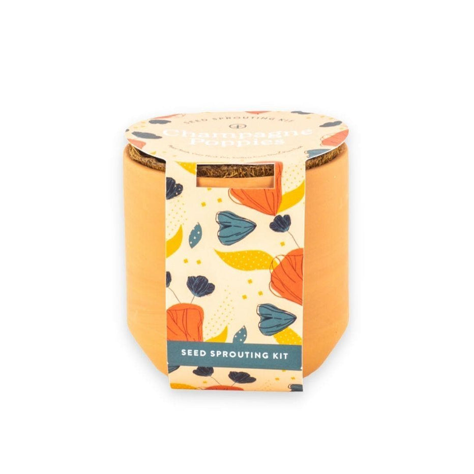 Tiny Seed Sprouting Kits Green Fresh Florals + Plants