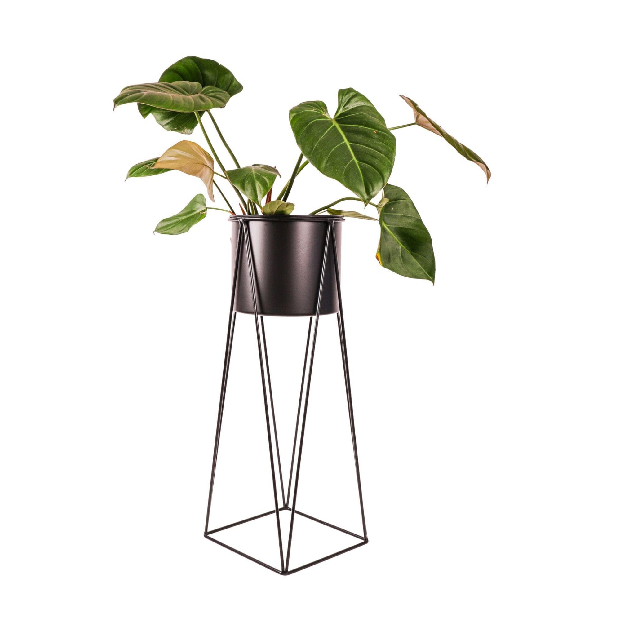 Triangle Metal Plant Stand - Green Fresh Florals + Plants