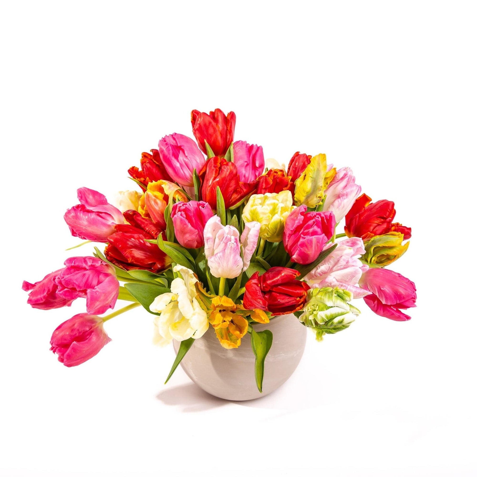 Tulip Celebration Designer Floral - Green Fresh Florals + Plants