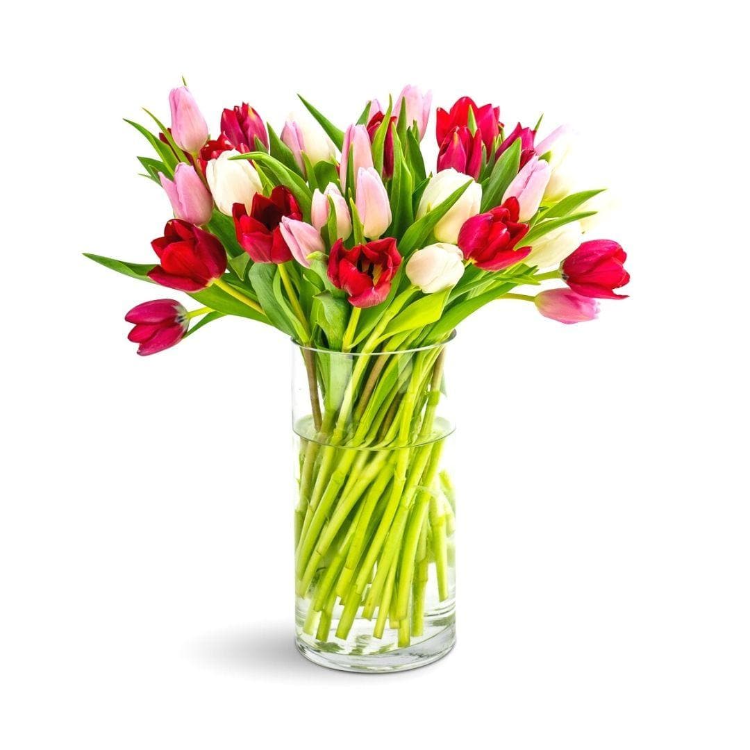 Tulip Lovers Delight - Green Fresh Florals + Plants
