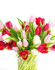 Tulip Lovers Delight - Green Fresh Florals + Plants