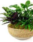Verdant Trio Garden - Green Fresh Florals + Plants