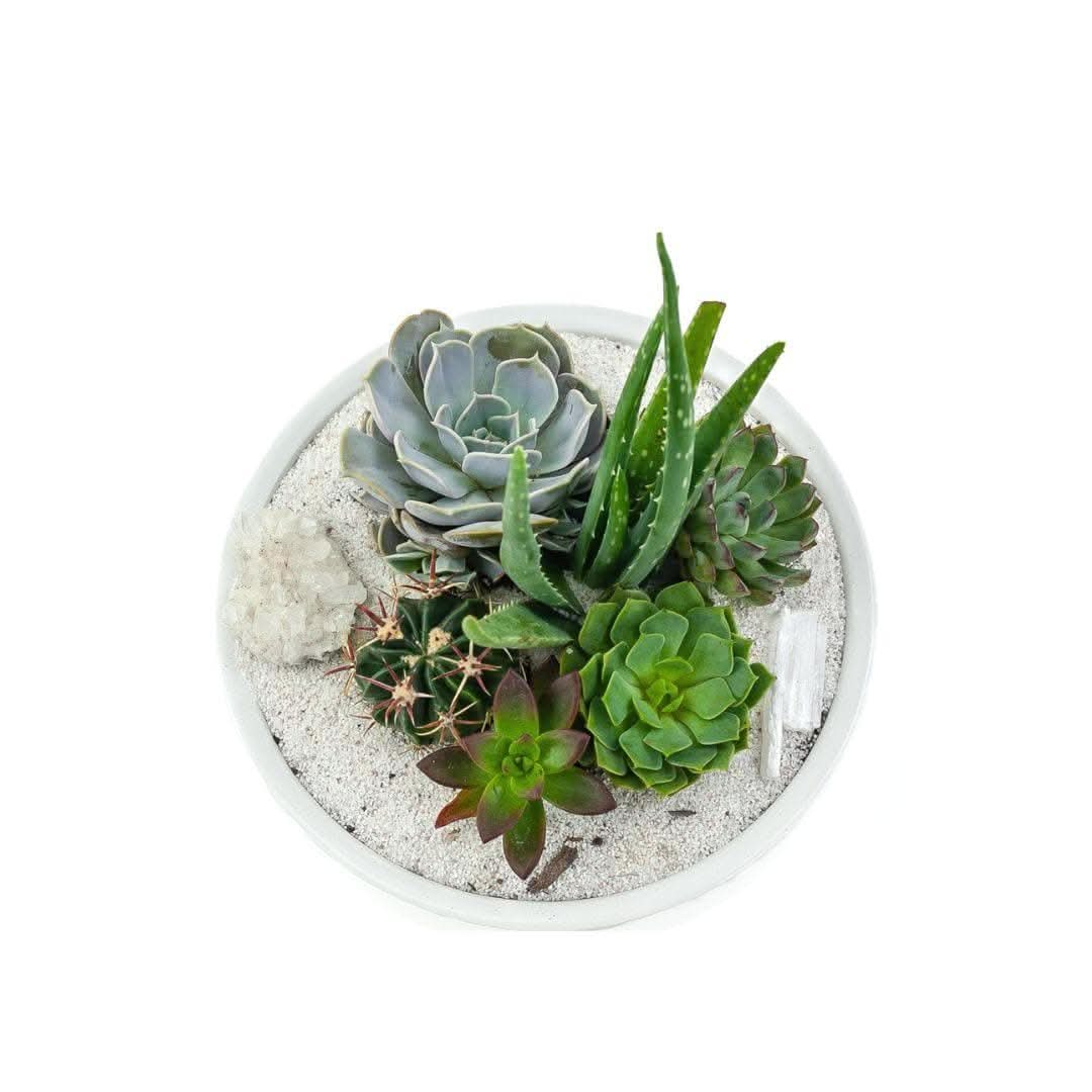 Selenite Succulent offers Heart Crystal Planter