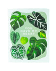 You Have My Heart Plant Leaf Card - Green Fresh Florals + Plants