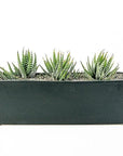 Zebra Haworthia Trio Planter - Green Fresh Florals + Plants